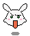 Furious rabbit